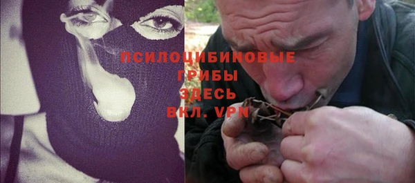 ГАЛЛЮЦИНОГЕННЫЕ ГРИБЫ Алзамай