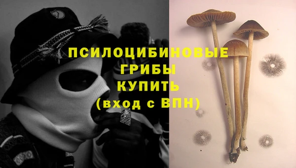 PSILOCYBIN Алексин