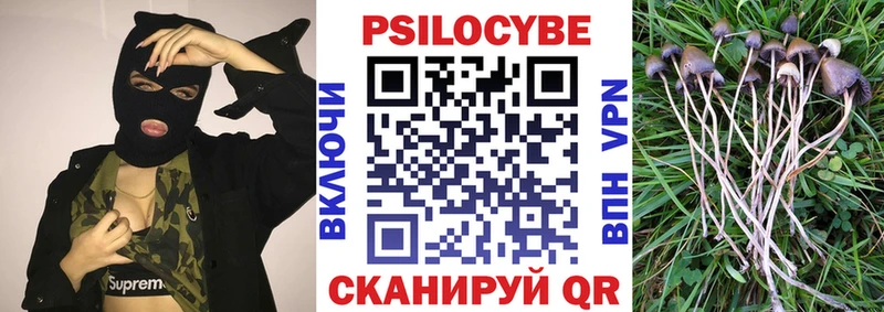 Галлюциногенные грибы мицелий  Плавск 