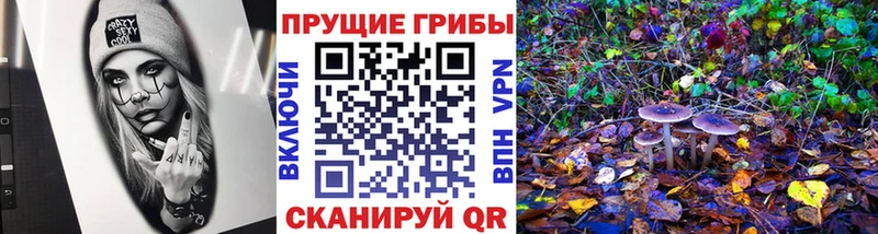 Псилоцибиновые грибы Psilocybe Плавск